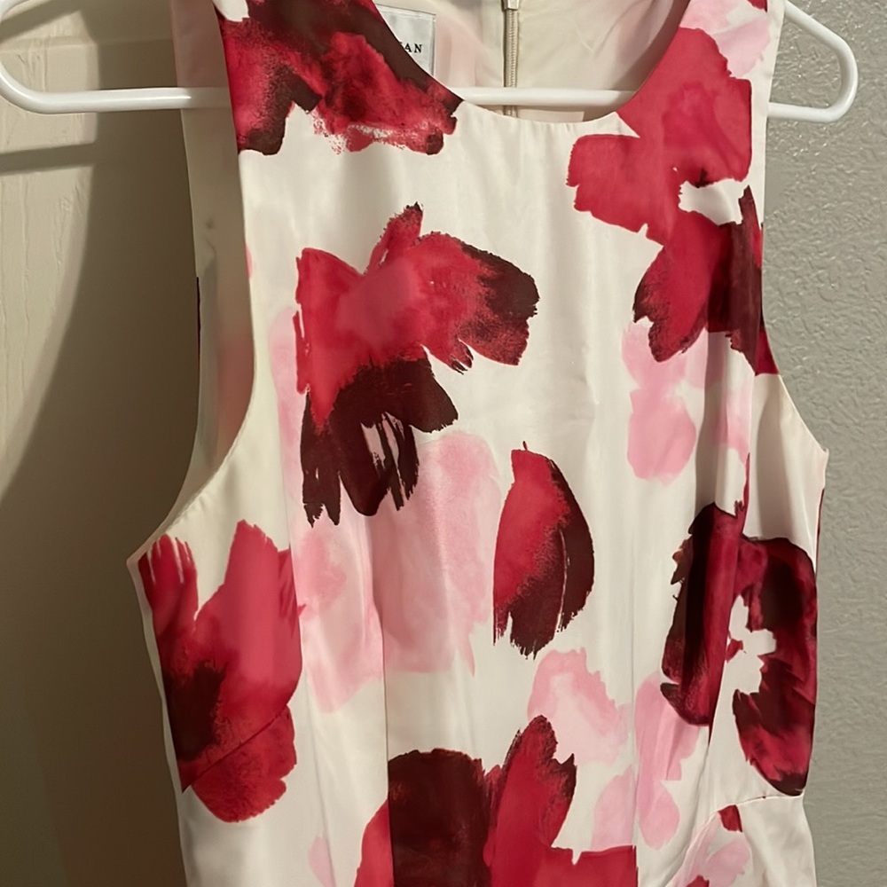 Floral Fit and Flare Dress - Picture 3 of 3